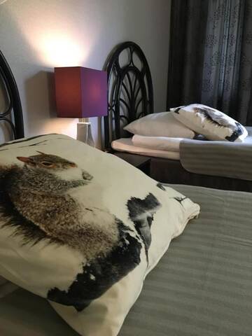 Фото номера Двухместный номер с 2 отдельными кроватями Отель Hotel Yöpuu г. Кеми 10